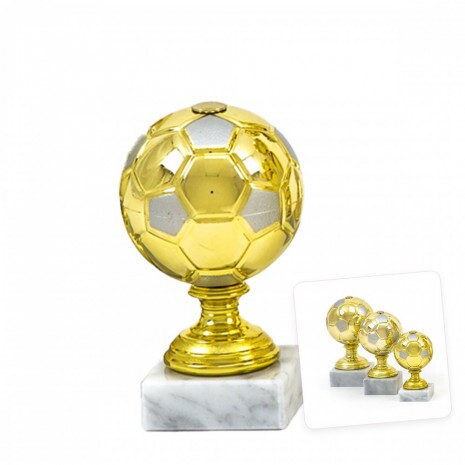 Football cup David
