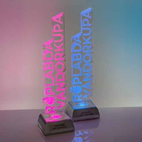 Illuminated acrylic award 