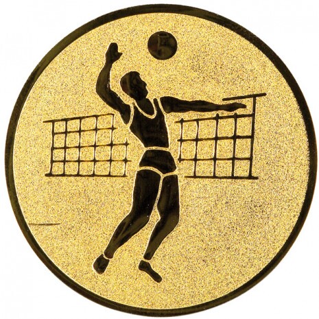 Volleyball (men) medal insert