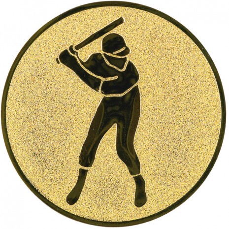 Baseball medal insert
