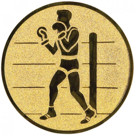 Boxing medal insert