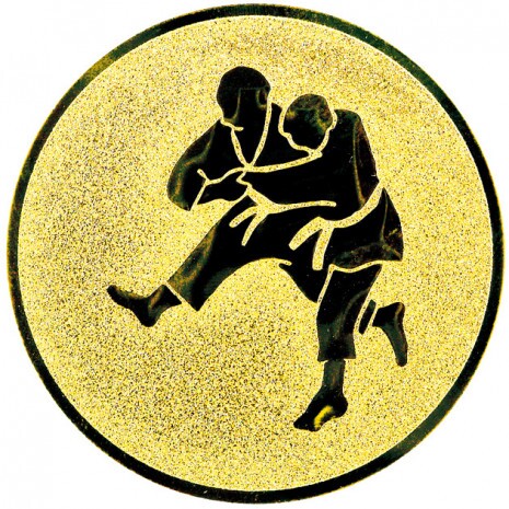 Judo medal insert