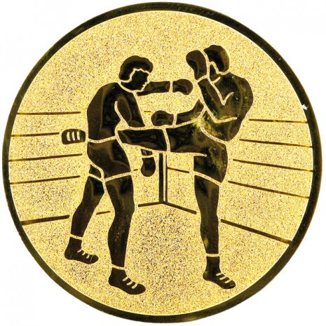 Kickboxing medal insert