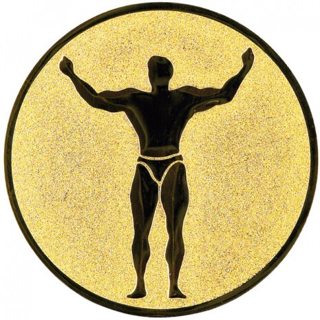 Fitness medal insert