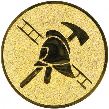 Fitrefighter medal insert