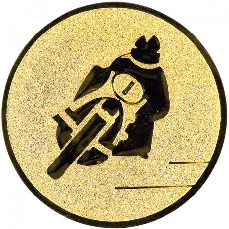 Motorcycle medal insert