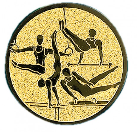 Gymnastics medal insert