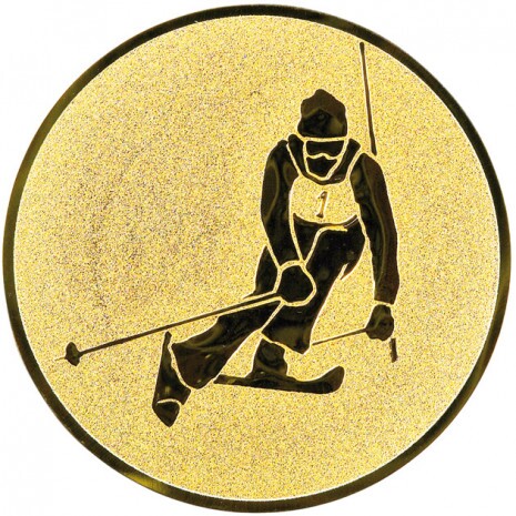 Alpine skiing medal insert