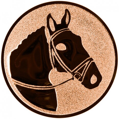 Rider (horse) medal insert
