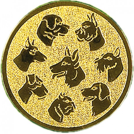 Dog medal insert