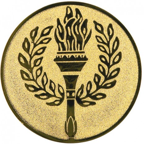 Torch medal insert