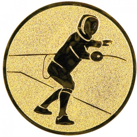 Fencing medal insert