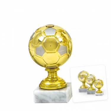Football cup David