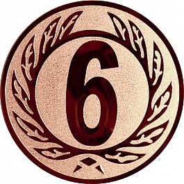 6th place medal insert