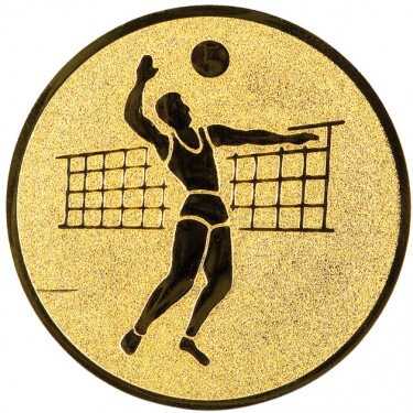 Volleyball (men) medal insert