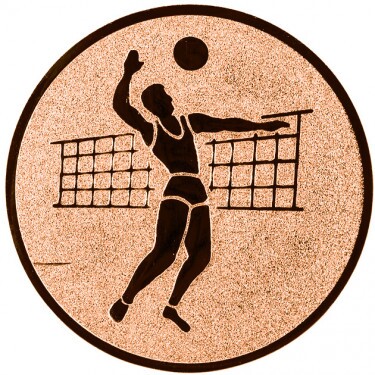 Volleyball (men) medal insert