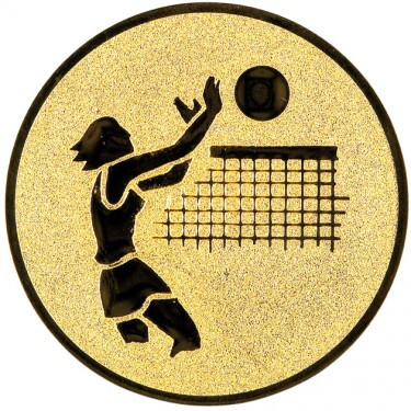 Volleyball (Women) medal insert