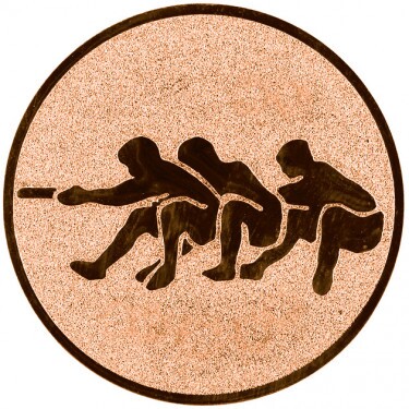 Tug of war medal insert
