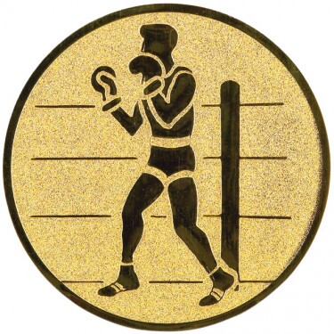 Boxing medal insert
