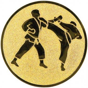 Karate medal insert
