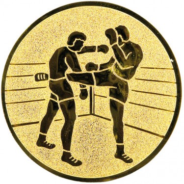 Kickboxing medal insert