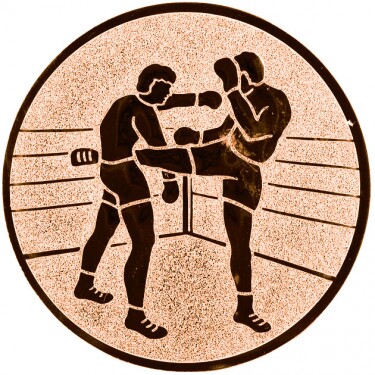 Kickboxing medal insert