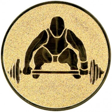 Weightlifting medal insert