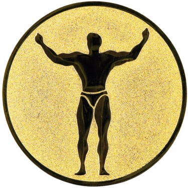 Fitness medal insert