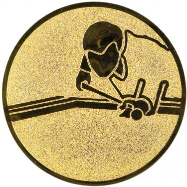 Swimming pool medal insert