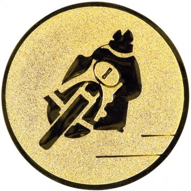 Motorcycle medal insert