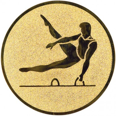 Gymnastics (men) medal insert