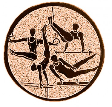 Gymnastics medal insert