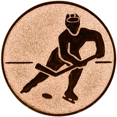Hockey medal insert