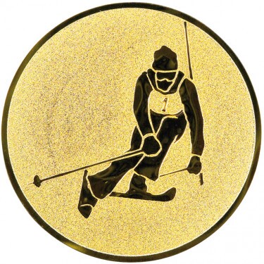 Alpine skiing medal insert