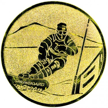 Snowboard medal insert