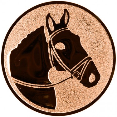 Rider (horse) medal insert