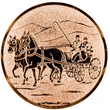 Rider (driving) medal insert