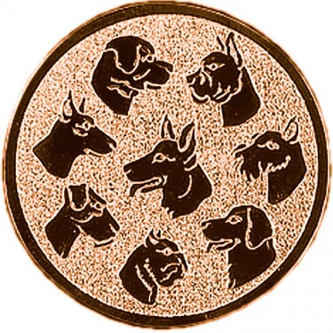 Dog medal insert