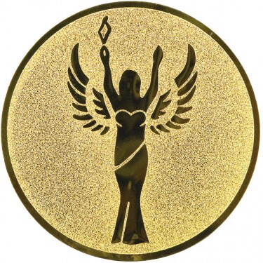 Victory medal insert