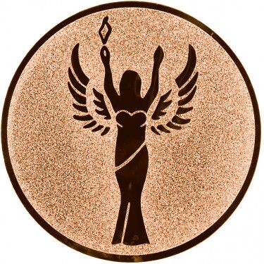 Victory medal insert