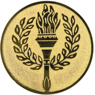 Torch medal insert