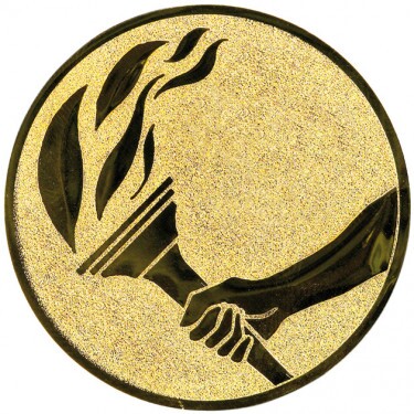 Torch medal insert