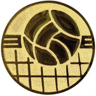 Volleyball medal insert