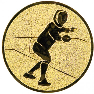Fencing medal insert