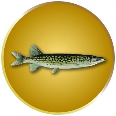 Pike medal insert