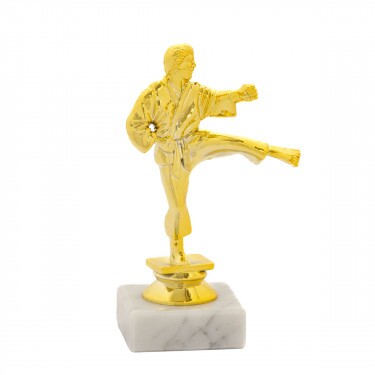 Karate (men) golden figure with base