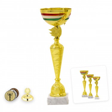 Hungarian national cup Huba