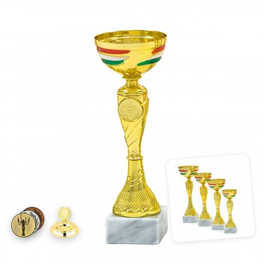 Hungarian national cup Frigyes