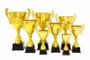 Premium cup Daniel