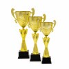 Premium cup Hanna